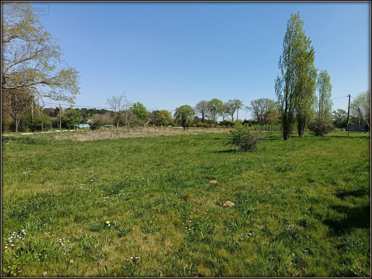 Terrain a batir a vendre Saint-Thurial 35310 Ille-et-Vilaine 2196 m2  95500 euros