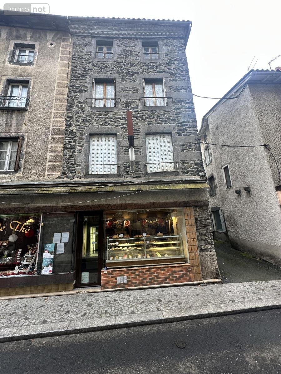 Immeuble a vendre Saint-Flour 15100 Cantal 134 m2  84800 euros
