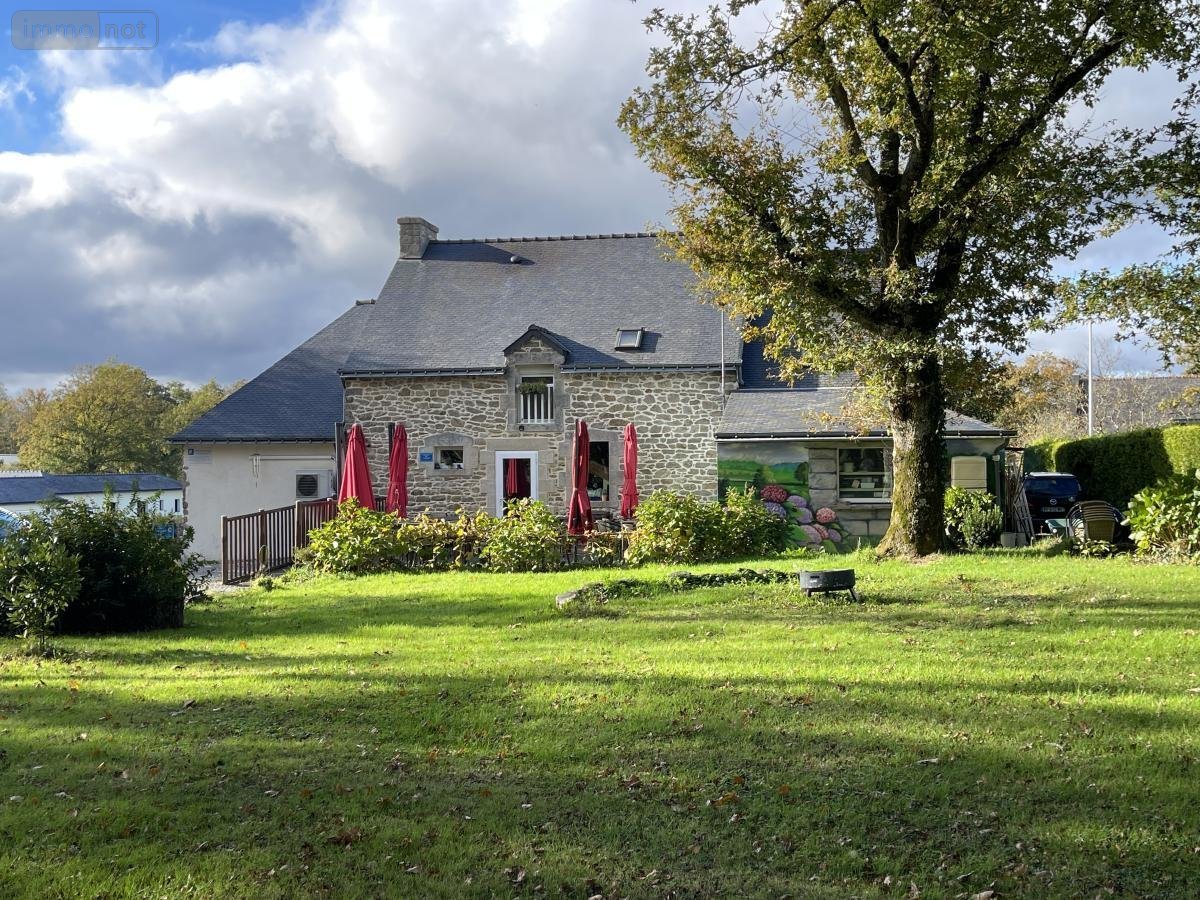 Fonds et murs commerciaux a vendre Locminé 56500 Morbihan 200 m2  364760 euros