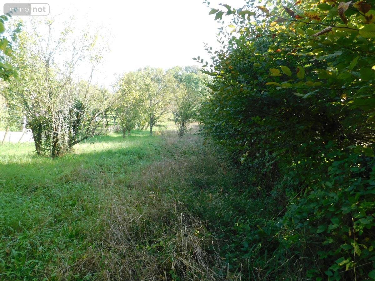 Terrain a batir a vendre Pont-d'Ain 01160 Ain 1077 m2  75500 euros