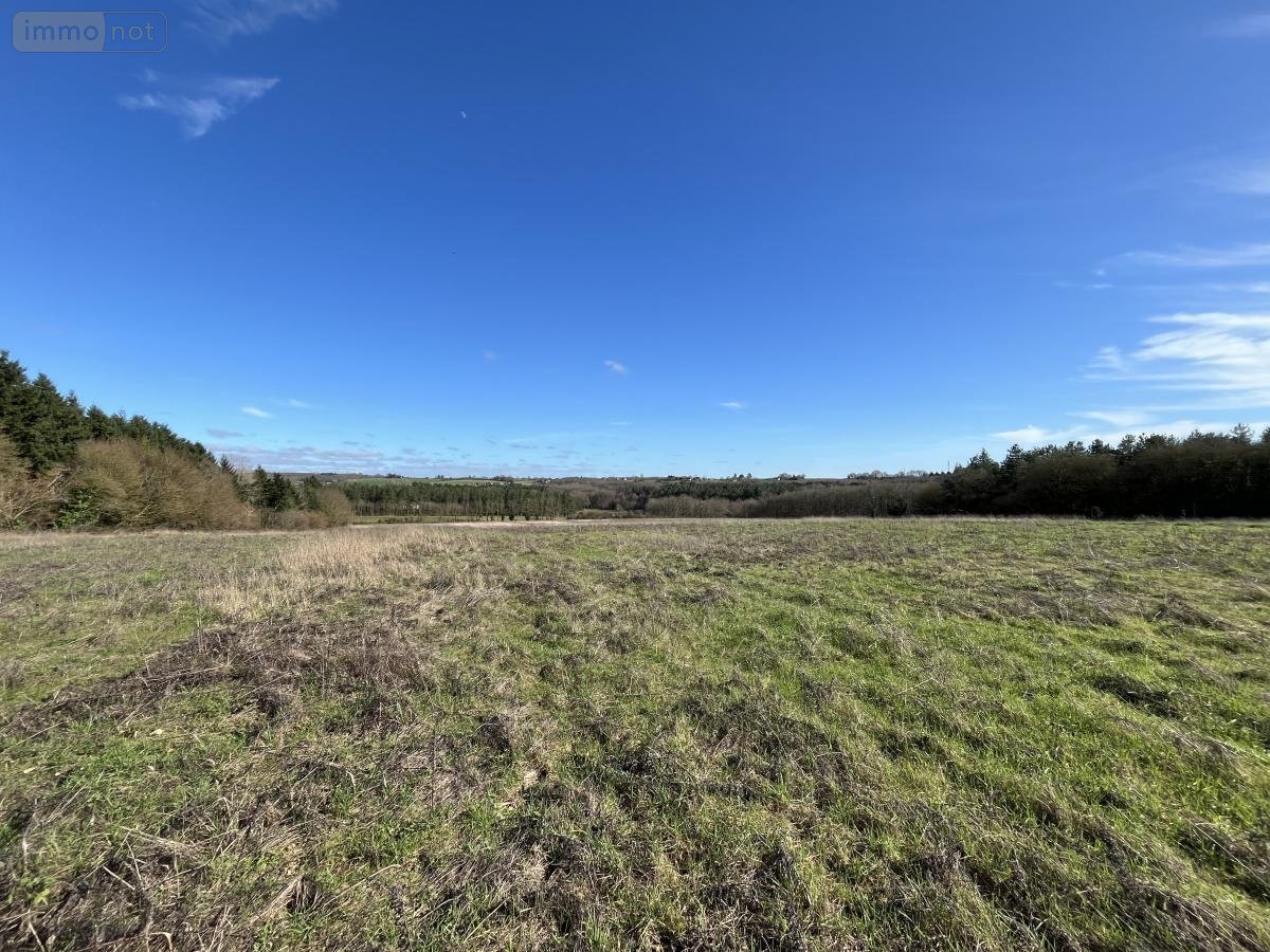 Terrains de loisirs bois etangs a vendre Soulitré 72370 Sarthe 83571 m2  34500 euros