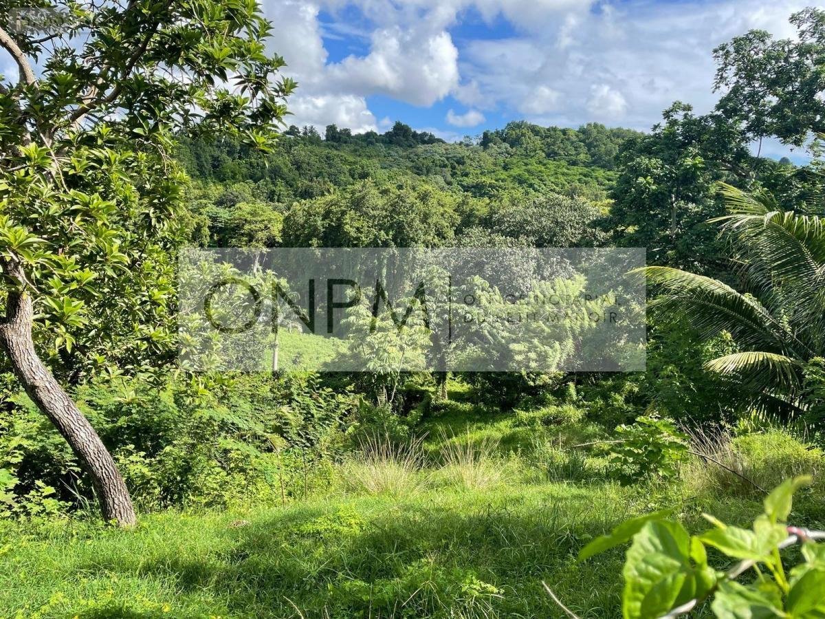 Terrain a batir a vendre Ducos 97224 Martinique 1405 m2  170000 euros