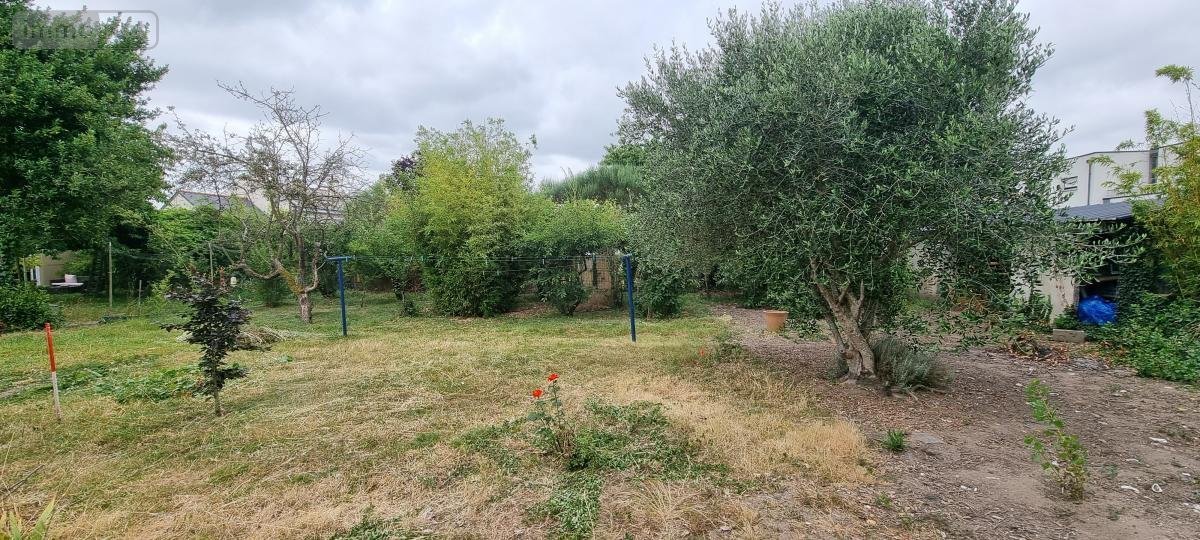 Terrain a batir a vendre Les Ponts-de-Cé 49130 Maine-et-Loire 573 m2  162400 euros