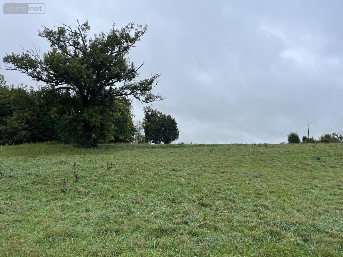 Terrain a batir a vendre Villette-lès-Dole 39100 Jura 2111 m2  55000 euros