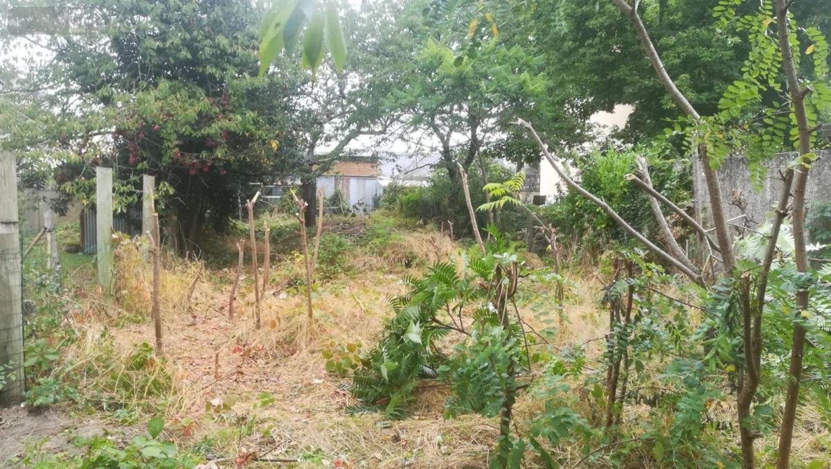 Terrain a batir a vendre Le Mans 72000 Sarthe 373 m2  78622 euros