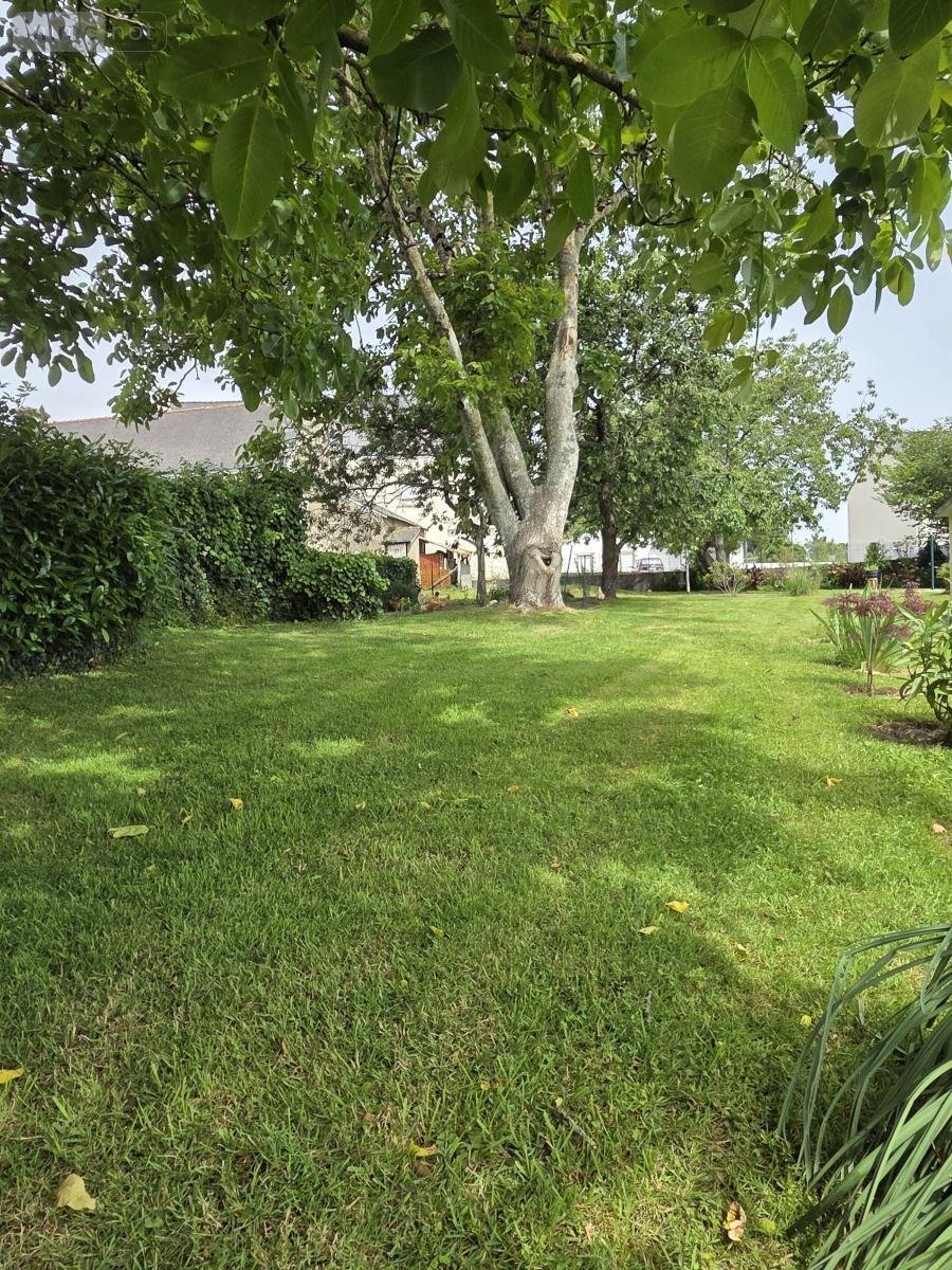 Terrain a batir a vendre Merlevenez 56700 Morbihan 437 m2  114400 euros