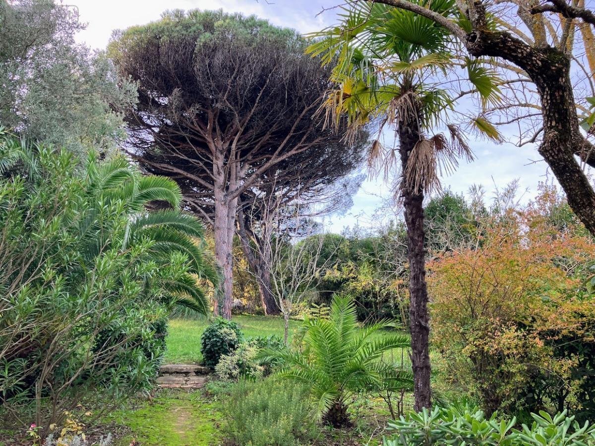 Maison a vendre Saint-Tropez 83990 Var 135 m2  4900000 euros