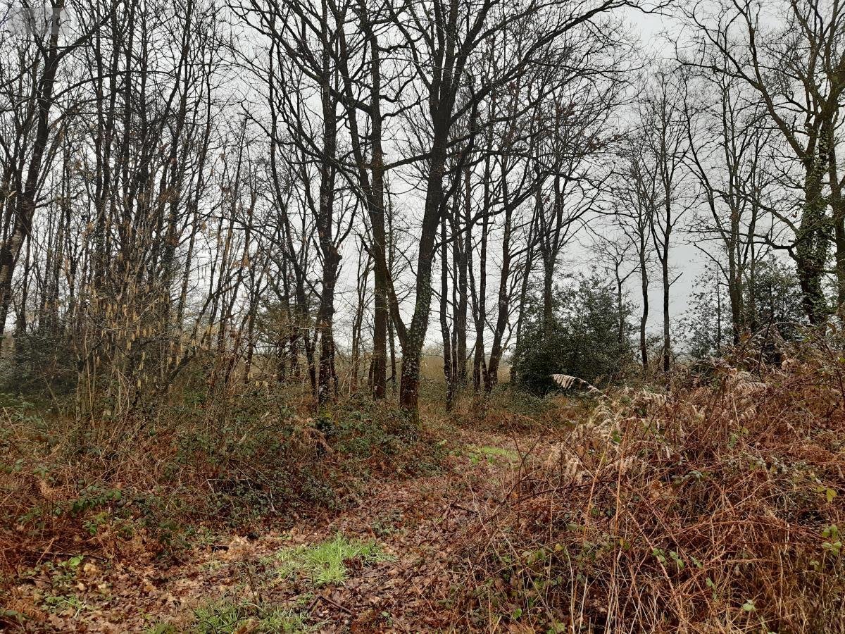 Terrains de loisirs bois etangs a vendre Étriché 49330 Maine-et-Loire 9080 m2  6890 euros