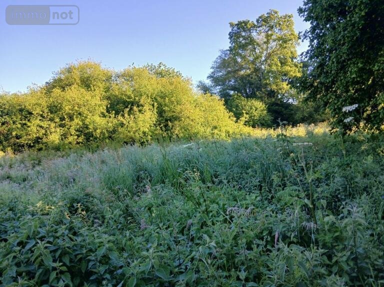 Terrain a batir a vendre Persquen 56160 Morbihan 3216 m2  44772 euros