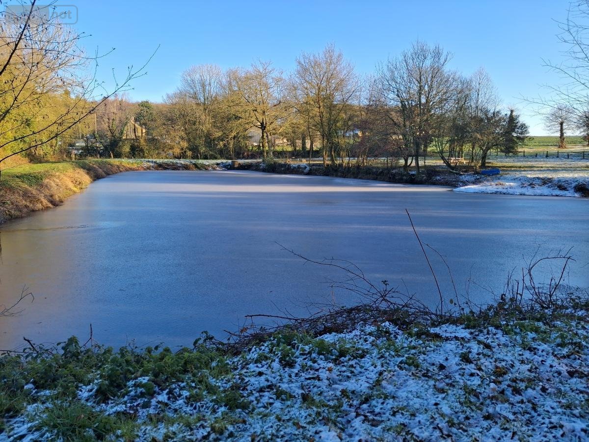 Terrains de loisirs bois etangs a vendre Plumaudan 22350 Côtes-d'Armor 5908 m2  39700 euros