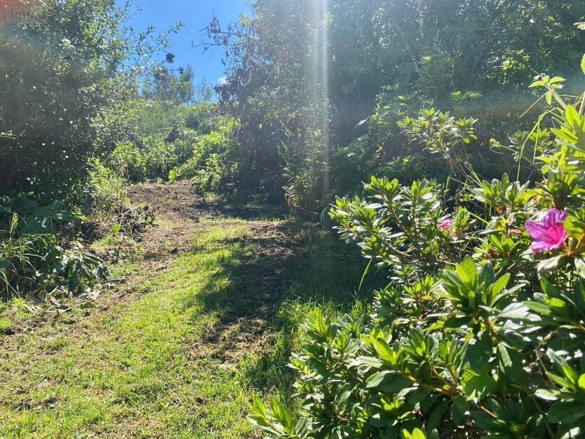 Terrain a batir a vendre Le Tampon 97430 Réunion 571 m2  107500 euros
