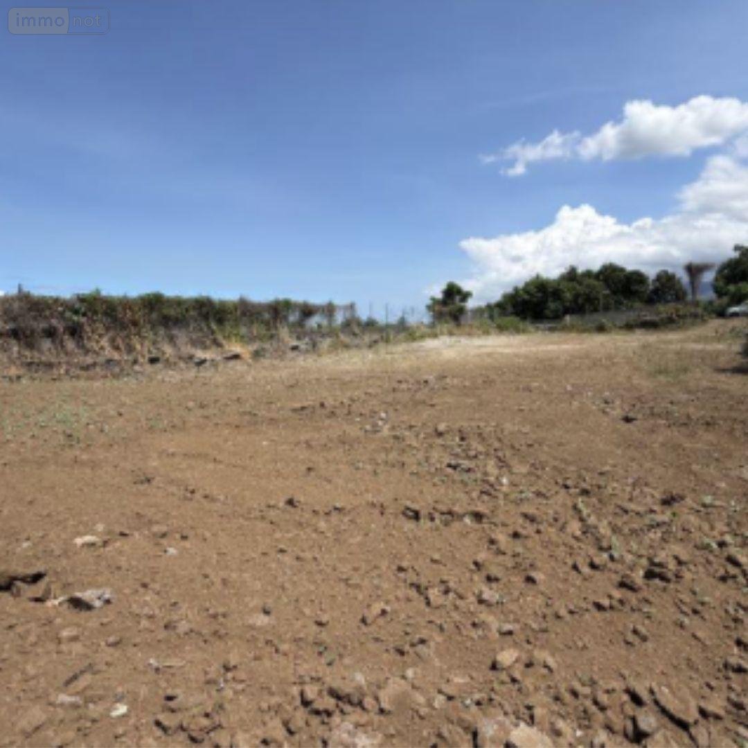 Terrain a batir a vendre Le Tampon 97430 Réunion 2043 m2  882250 euros