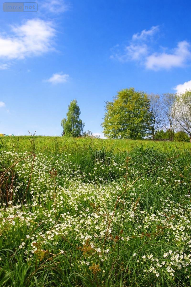 Terrain a batir a vendre Camors 56330 Morbihan 910 m2  76860 euros