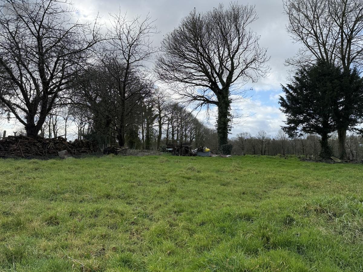 Terrain a batir a vendre Merdrignac 22230 Côtes-d'Armor 538 m2  29800 euros
