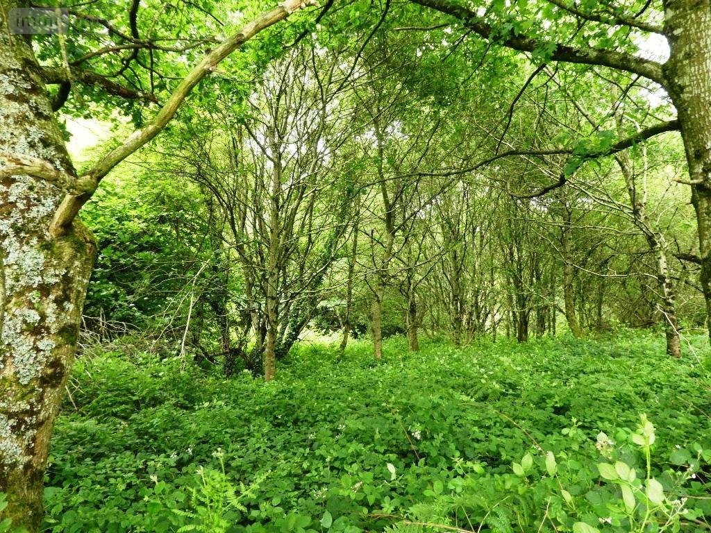 Terrains de loisirs bois etangs a vendre Locmalo 56160 Morbihan 5075 m2  2600 euros