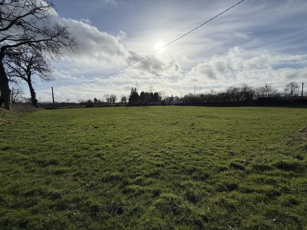 Terrains de loisirs bois etangs a vendre Le Luot 50870 Manche 26234 m2  23800 euros