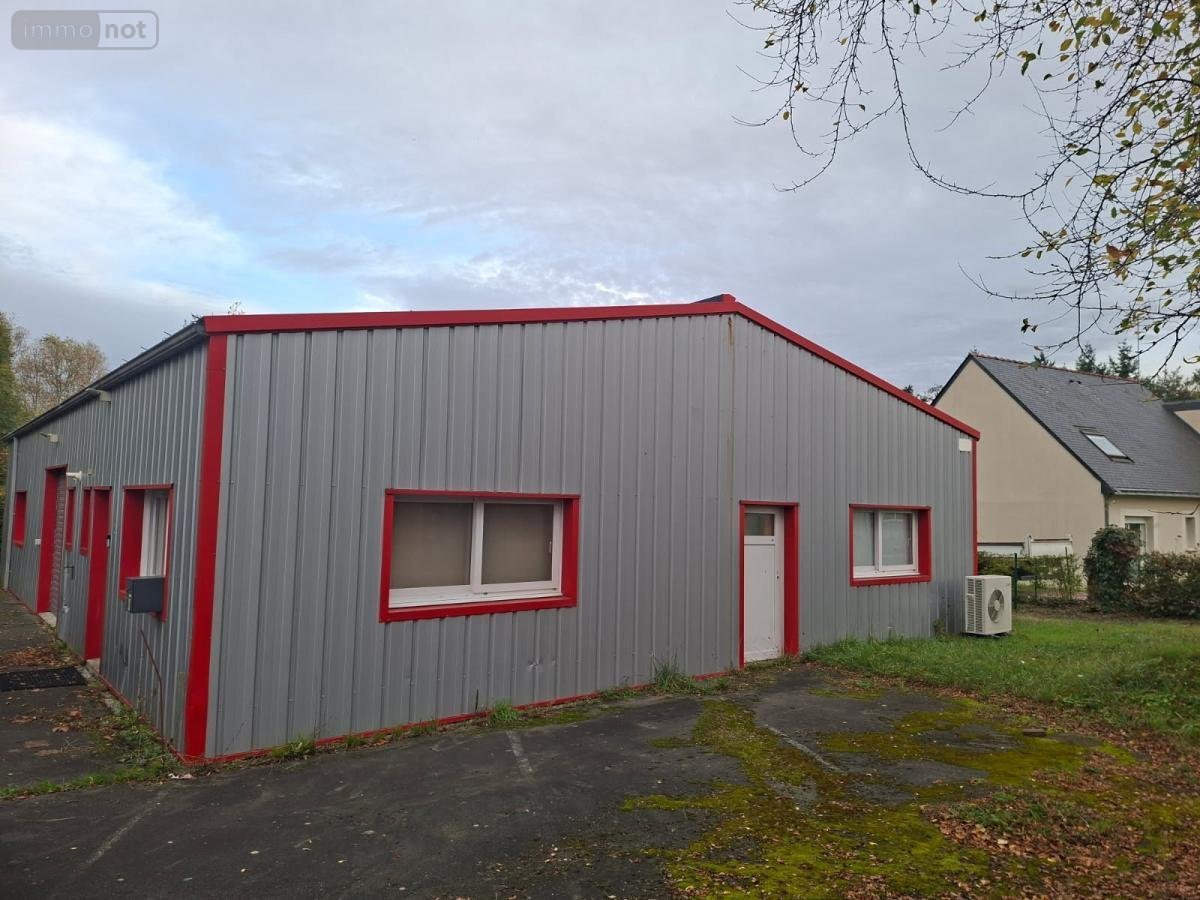 Fonds et murs commerciaux a vendre Bouchemaine 49080 Maine-et-Loire 220 m2  294000 euros