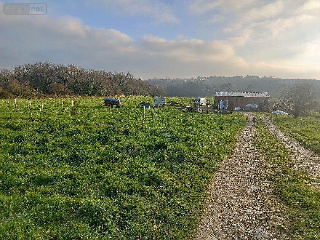 Terrains de loisirs bois etangs a vendre Nivillac 56130 Morbihan 46586 m2  126000 euros