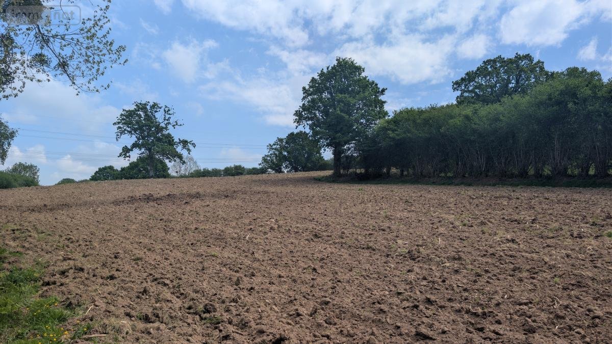 Terrains de loisirs bois etangs a vendre Rouffigny 50800 Manche 23575 m2  25375 euros