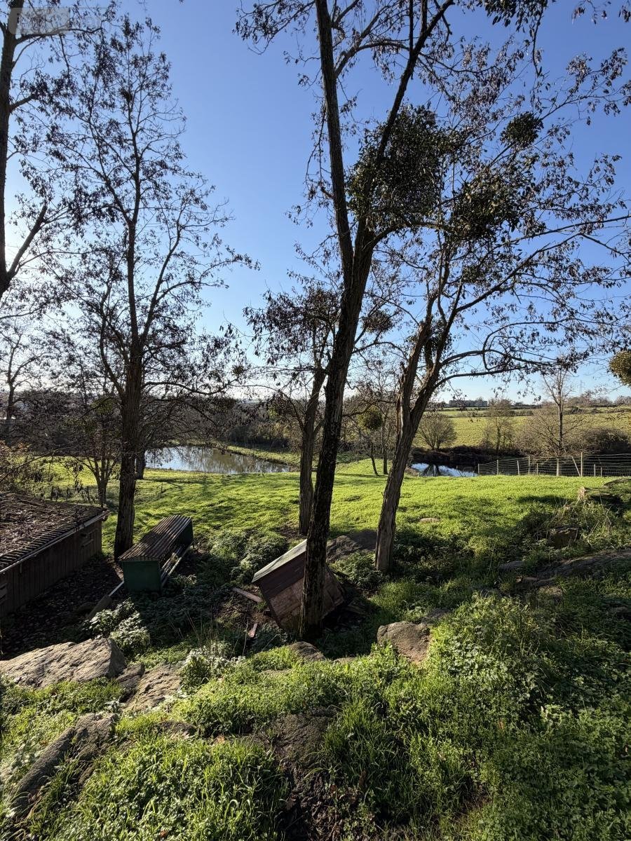 Terrain a batir a vendre Cholet 49300 Maine-et-Loire 1000 m2  94500 euros