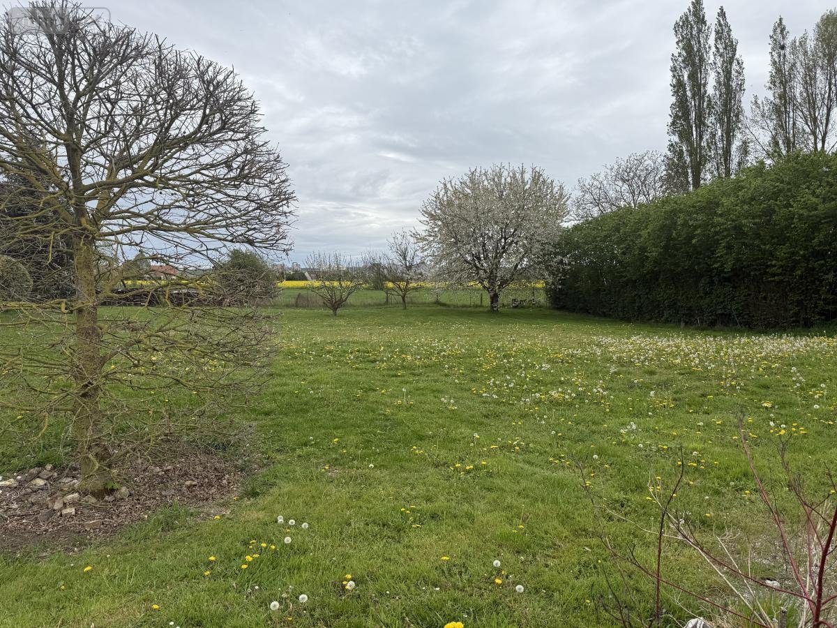 Terrain a batir a vendre Vecquemont 80800 Somme 478 m2  63000 euros