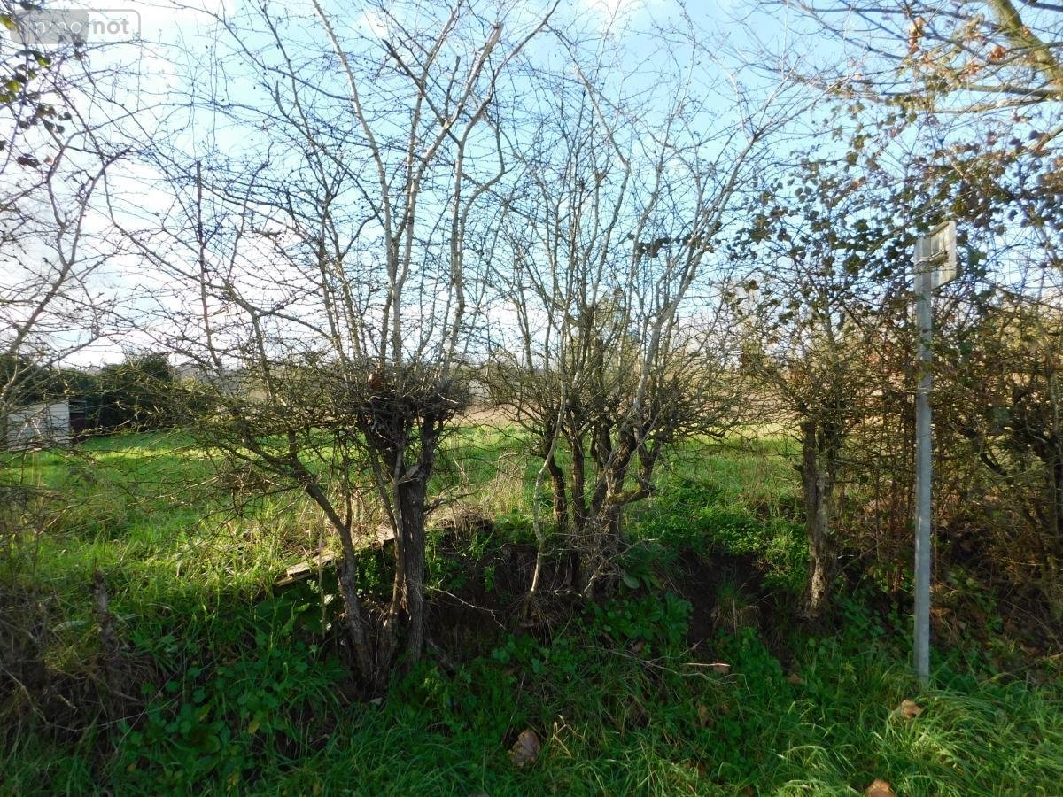Terrain a batir a vendre Brissarthe 49330 Maine-et-Loire 805 m2  29865 euros