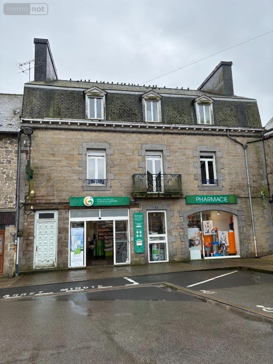 Maison a vendre Rostrenen 22110 Côtes-d'Armor 291 m2 11 pièces 206700 euros