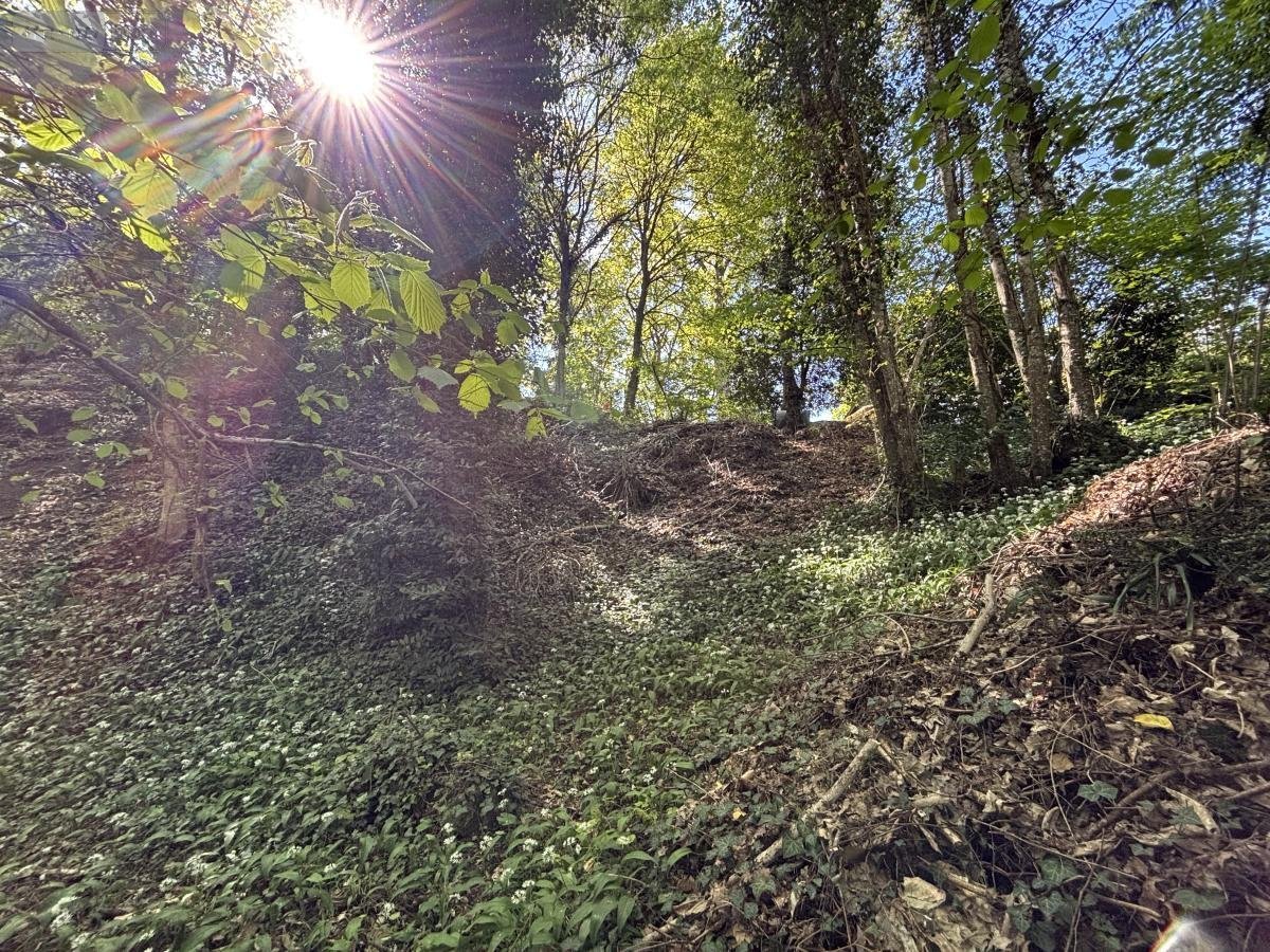 Terrain a batir a vendre Saint-Antoine-du-Rocher 37360 Indre-et-Loire 689 m2  64200 euros