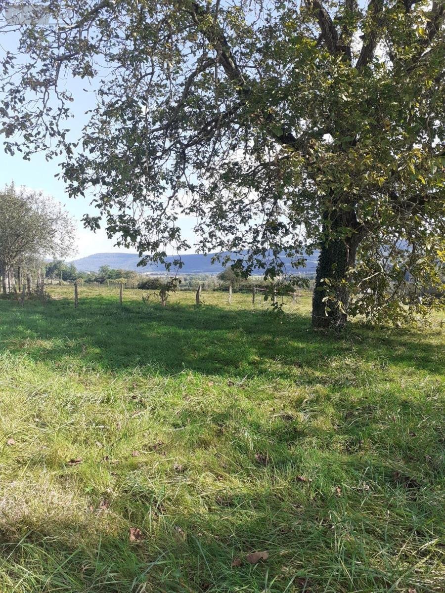 Terrain a batir a vendre Buthiers 70190 Haute-Saône 890 m2  67000 euros