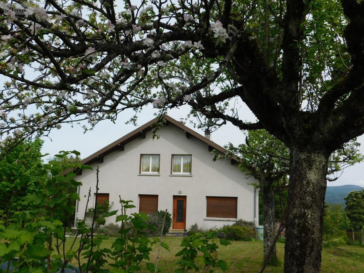Maison a vendre Pont-d'Ain 01160 Ain 231 m2 7 pièces 280000 euros