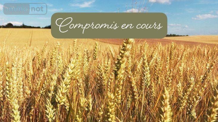 Terrains de loisirs bois etangs a vendre Rosporden 29140 Finistère 128965 m2  79500 euros