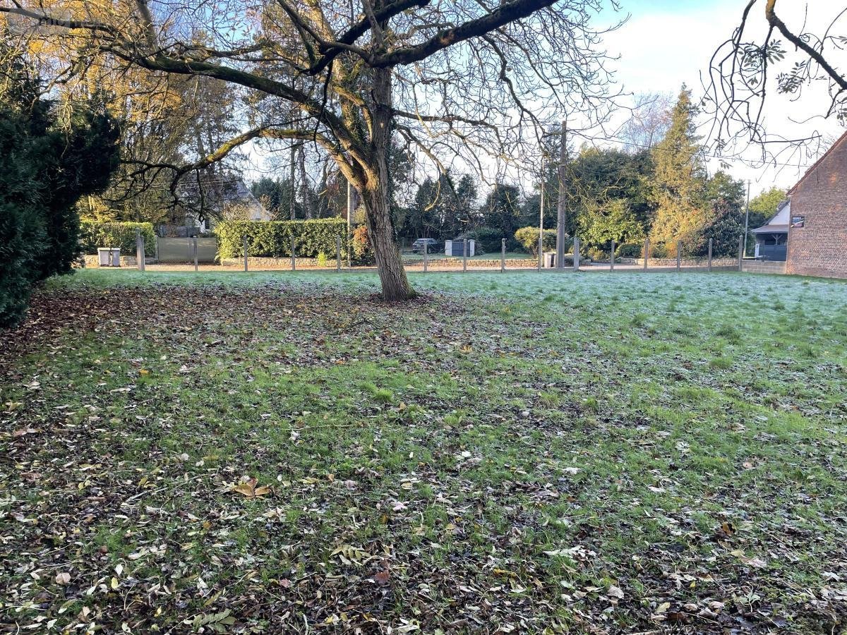 Terrain a batir a vendre Caudry 59540 Nord 1750 m2  64800 euros