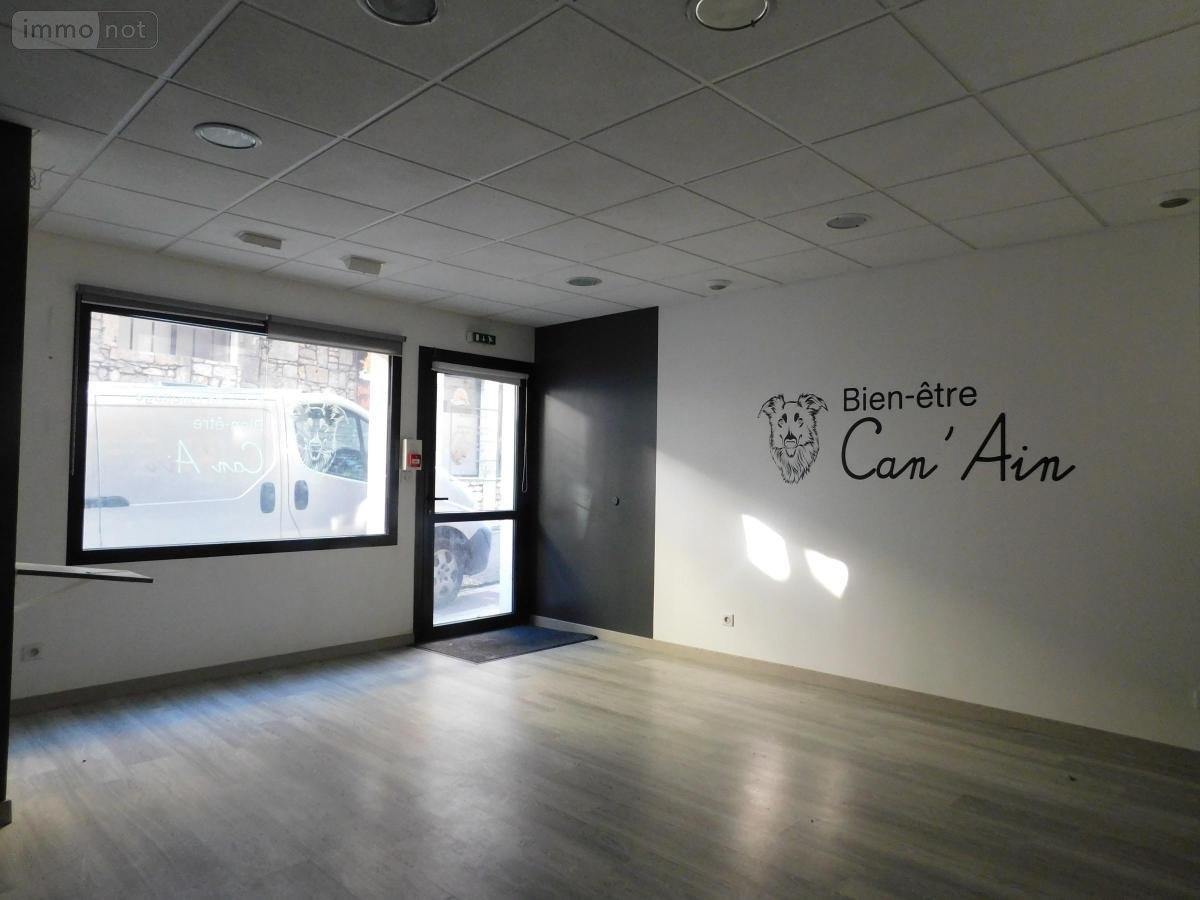 Appartement a vendre Poncin 01450 Ain 57 m2 2 pièces 49000 euros