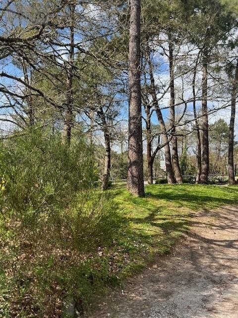 Fonds et murs commerciaux a vendre Vannes 56000 Morbihan 344 m2  690100 euros