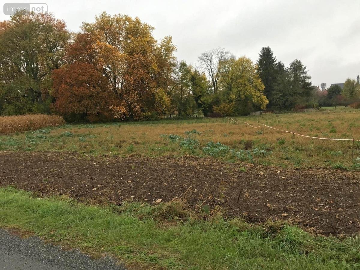 Terrain a batir a vendre Baugy 18800 Cher 2001 m2  44500 euros