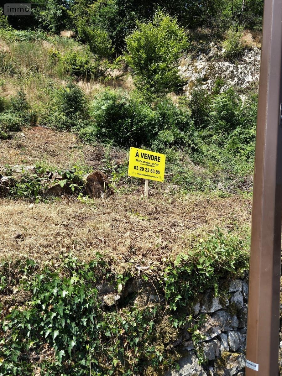 Terrain a batir a vendre Saint-Nabord 88200 Vosges 867 m2  38000 euros