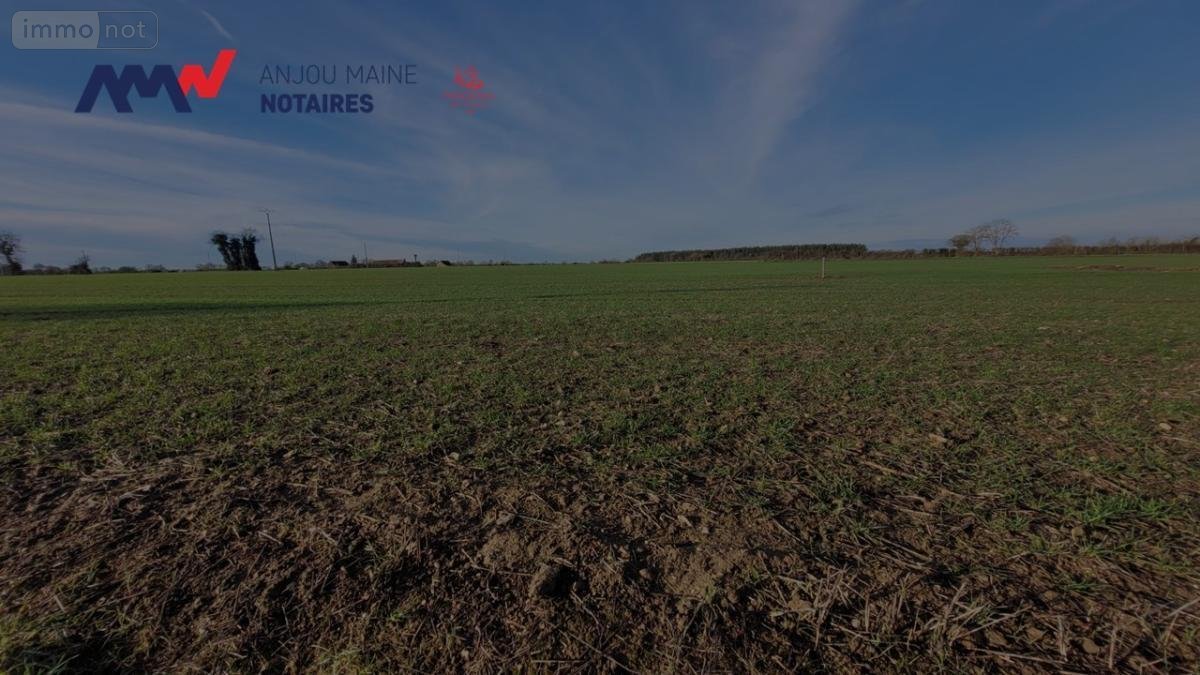 Terrains de loisirs bois etangs a vendre Précigné 72300 Sarthe 116373 m2  41091 euros