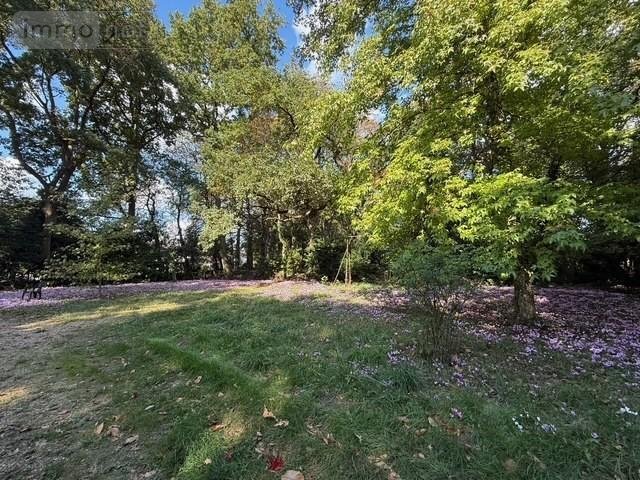 Terrain a batir a vendre Bouchemaine 49080 Maine-et-Loire 9707 m2  943200 euros
