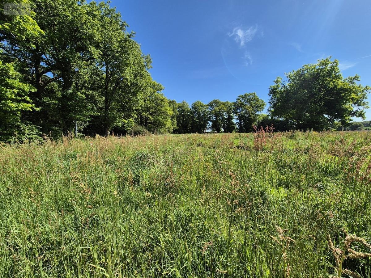 Terrain a batir a vendre Missiriac 56140 Morbihan 709 m2  60000 euros
