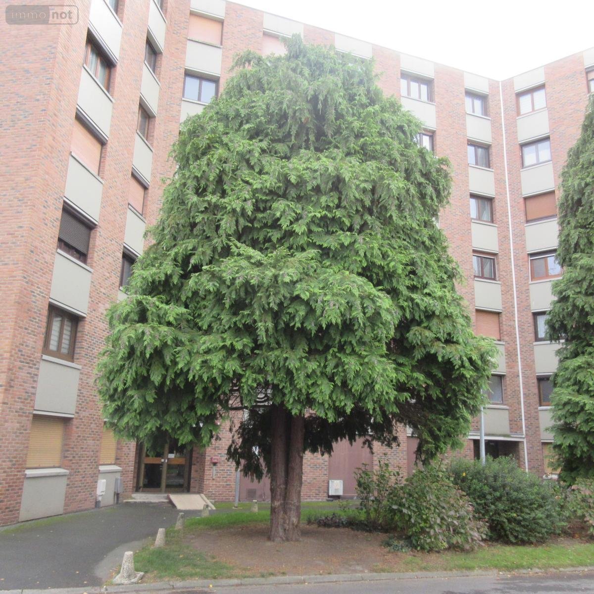 Appartement a vendre Montigny-en-Gohelle 62640 Pas-de-Calais 61 m2 2 pièces 65640 euros