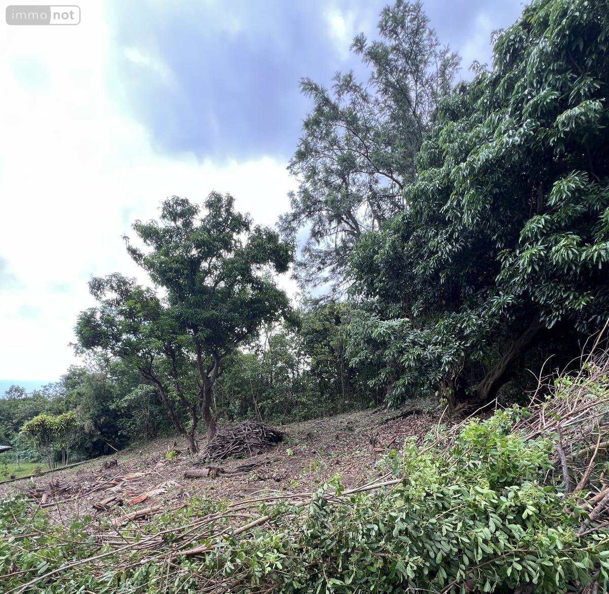 Terrain a batir a vendre Saint-Leu 97436 Réunion 734 m2  213000 euros