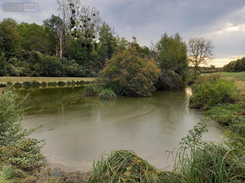 Divers a vendre Muret-et-Crouttes 02210 Aisne 8800 m2  55600 euros