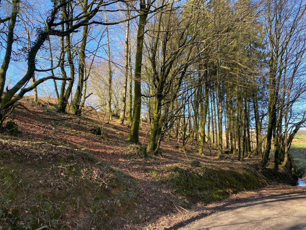 Terrains de loisirs bois etangs a vendre Chaulieu 50150 Manche 1100 m2  3000 euros