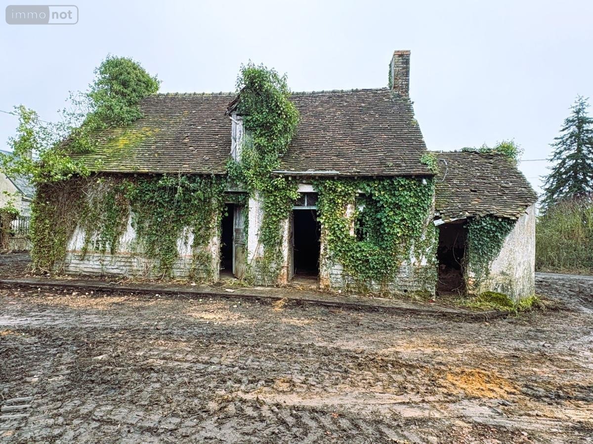 Maison a vendre Sainte-Jamme-sur-Sarthe 72380 Sarthe 55 m2 2 pièces 50000 euros