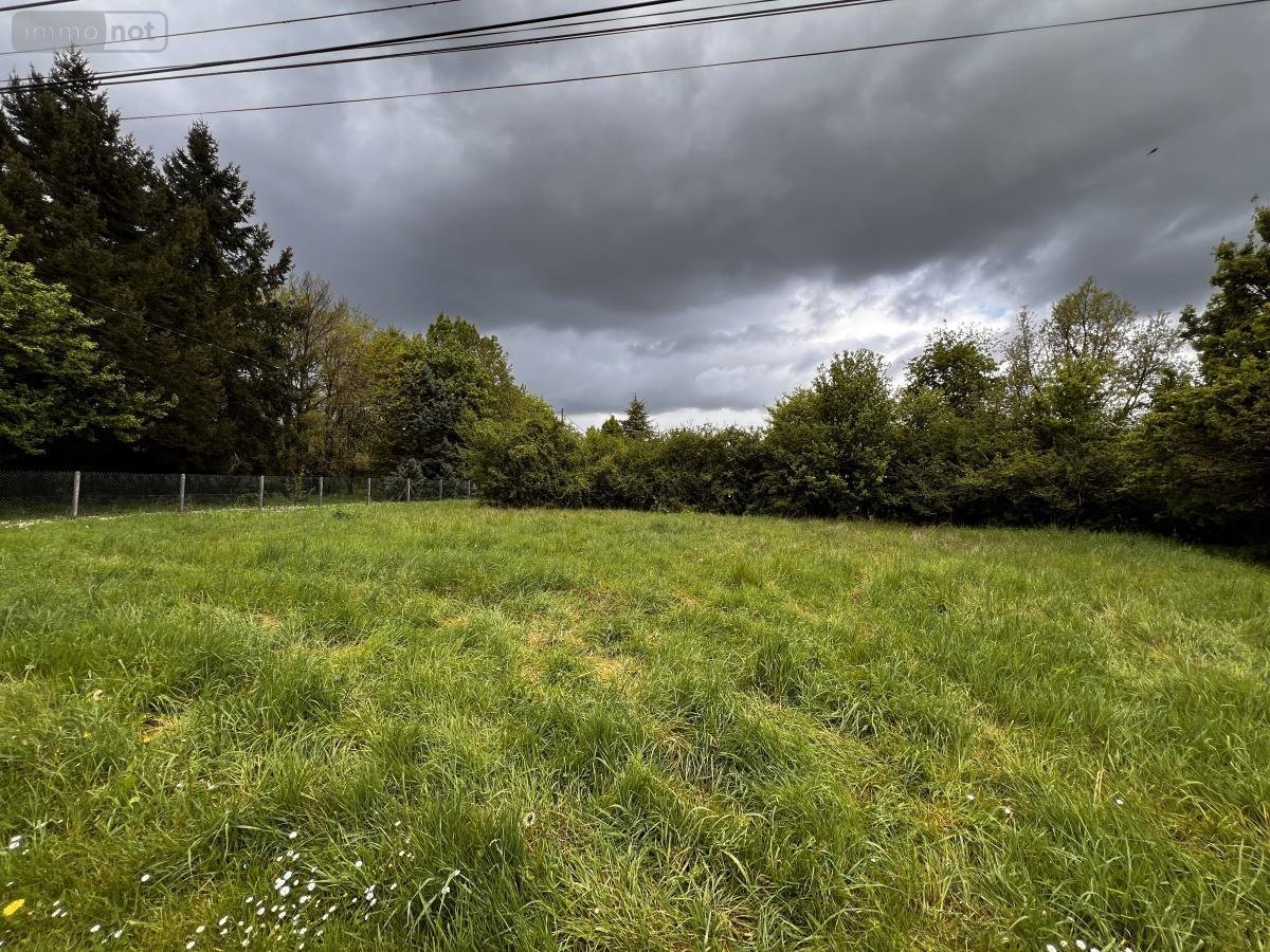 Terrain a batir a vendre Seigy 41110 Loir-et-Cher 3930 m2  33000 euros