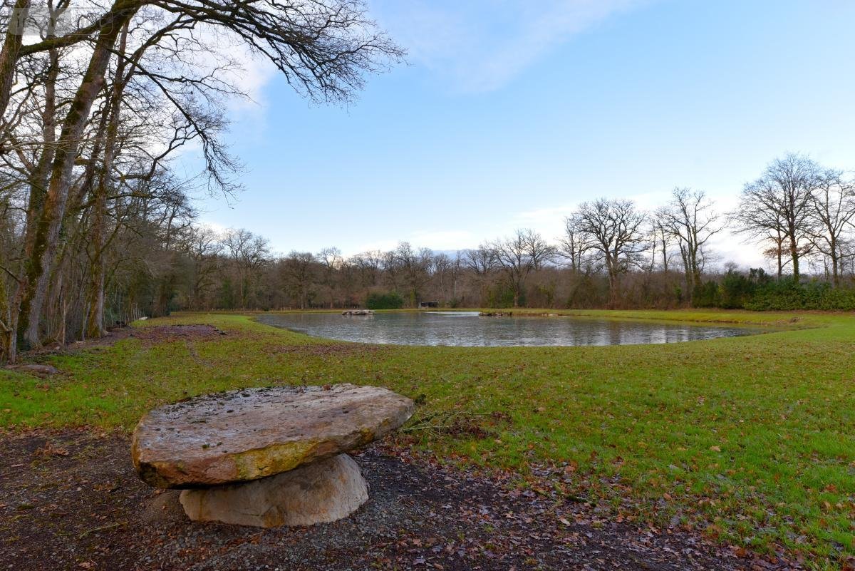 Terrains de loisirs bois etangs a vendre Mézangers 53600 Mayenne 9160 m2  63000 euros