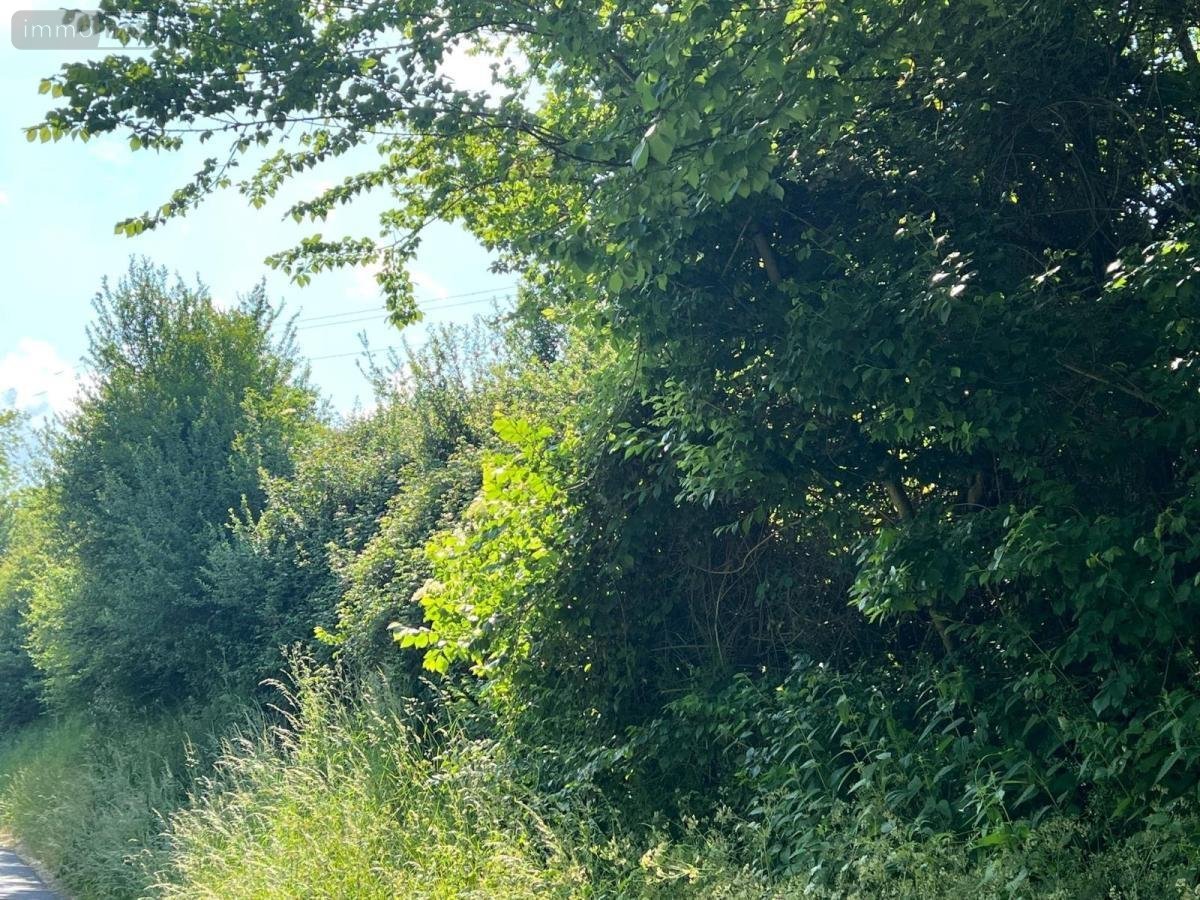 Terrains de loisirs bois etangs a vendre Valorbiquet 14290 Calvados 8050 m2  7500 euros