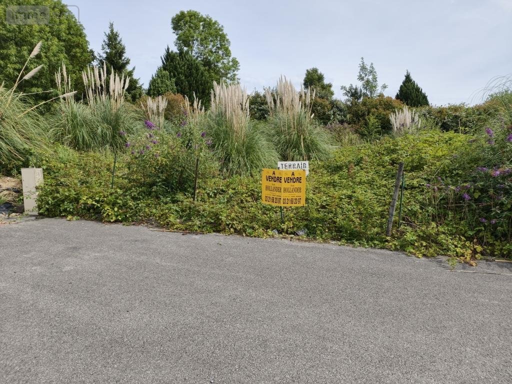 Terrain a batir a vendre Lapugnoy 62122 Pas-de-Calais 645 m2  60500 euros