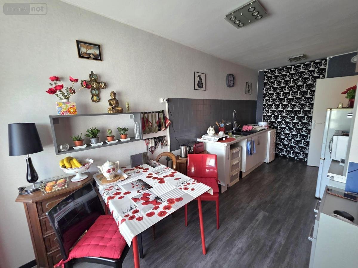 Appartement a vendre Vierzon 18100 Cher 55 m2 2 pièces 54800 euros