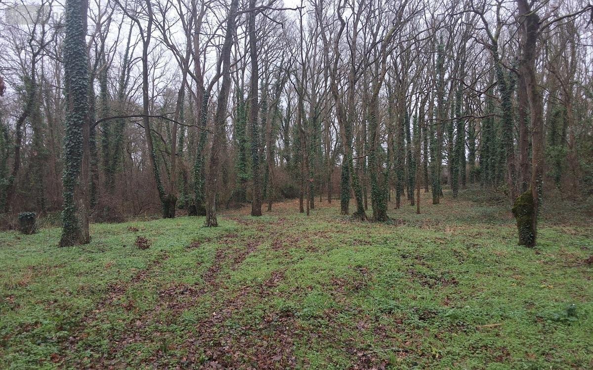 Terrains de loisirs bois etangs a vendre Les Garennes sur Loire 49610 Maine-et-Loire 3438 m2  6500 euros